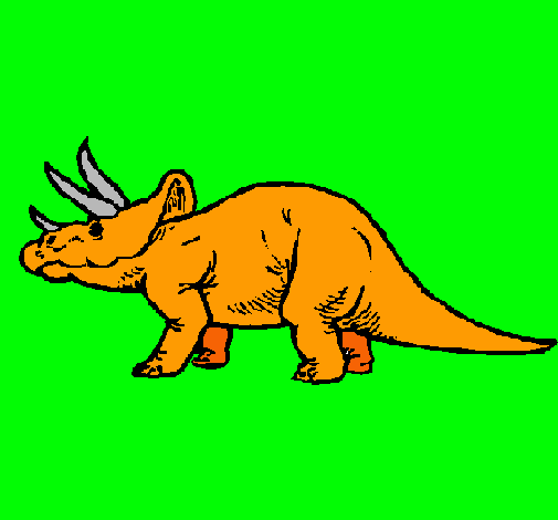 Triceratops