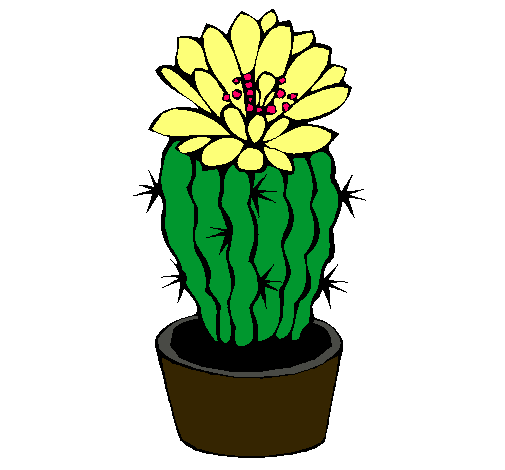 Cactus con flor