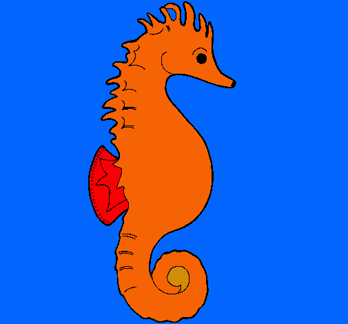 Caballito de mar