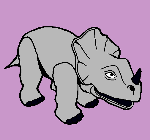 Triceratops II