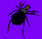 Dibujo Araña viuda negra pintado por ambar