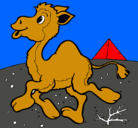 Dibujo Camello pintado por PULGAS