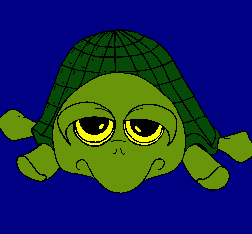 Tortuga