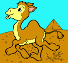 Dibujo Camello pintado por isis