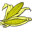 Dibujo Mazorca de maíz pintado por raura