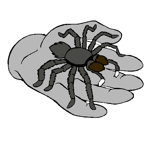 Tarántula