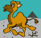 Dibujo Camello pintado por ESME