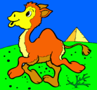 Dibujo Camello pintado por TomasRojas