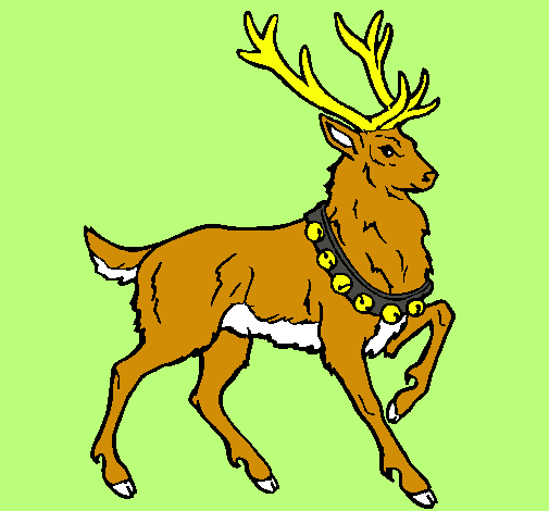 Venado