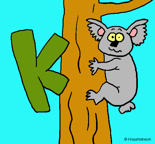 Koala