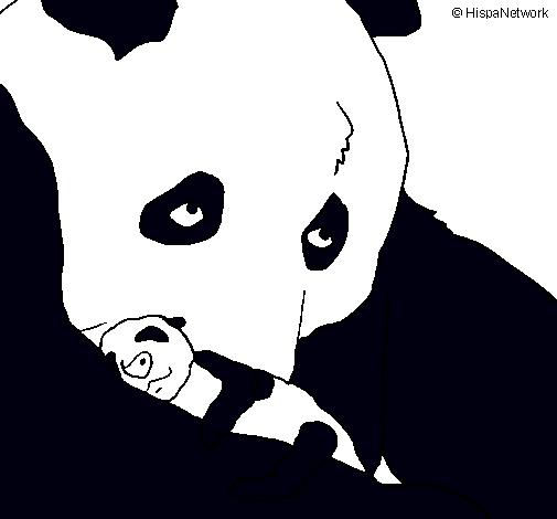 Oso panda con su cria