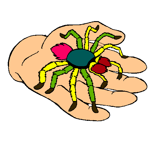 Tarántula