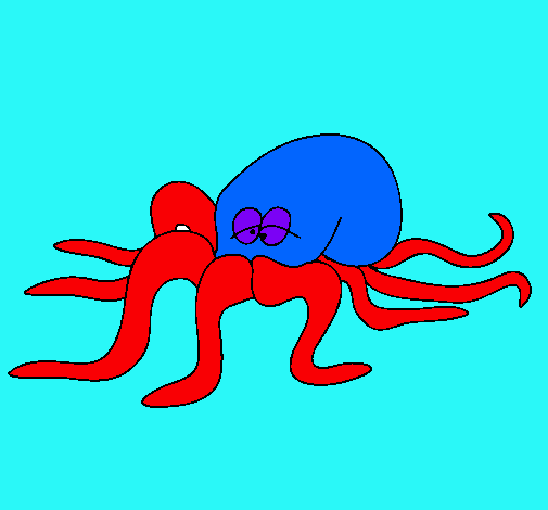 Pulpo