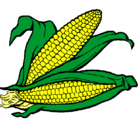 Dibujo Mazorca de maíz pintado por loreto