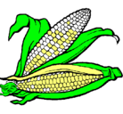 Dibujo Mazorca de maíz pintado por bruno
