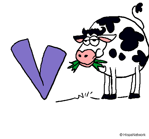 Vaca