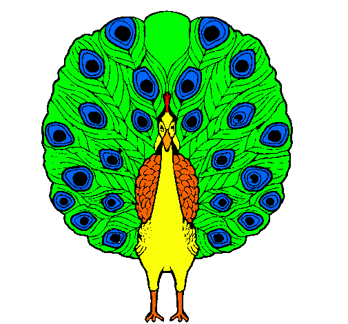 Pavo real