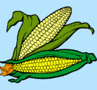 Dibujo Mazorca de maíz pintado por ruben