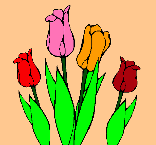 Tulipanes