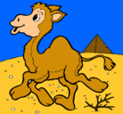 Dibujo Camello pintado por fer