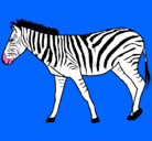 Dibujo Cebra pintado por monnyjaky