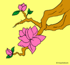 Dibujo Flor de almendro pintado por jazmin