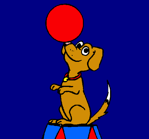 Perro de circo