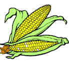 Dibujo Mazorca de maíz pintado por Lidzy