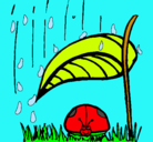 Dibujo Mariquita protegida de la lluvia pintado por sophinavarro