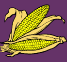 Dibujo Mazorca de maíz pintado por Mazorcasdemaíz