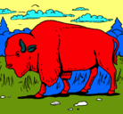 Dibujo Búfalo  pintado por martinm