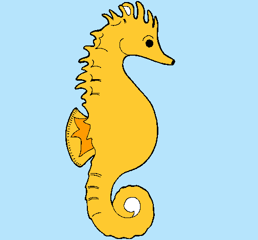 Caballito de mar