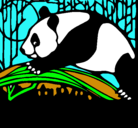 Dibujo Oso panda comiendo pintado por claudiaortizcaballero