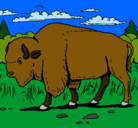 Dibujo Búfalo  pintado por gfg