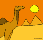 Dibujo Camello pintado por Estefi