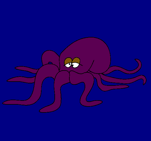 Pulpo