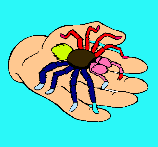 Tarántula