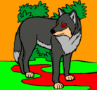 Dibujo Lobo pintado por kaballo