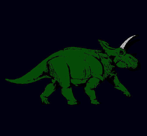 Triceratops