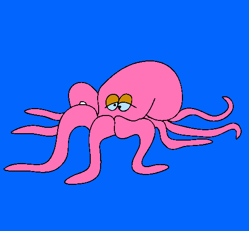 Pulpo