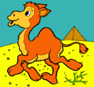 Dibujo Camello pintado por silviag