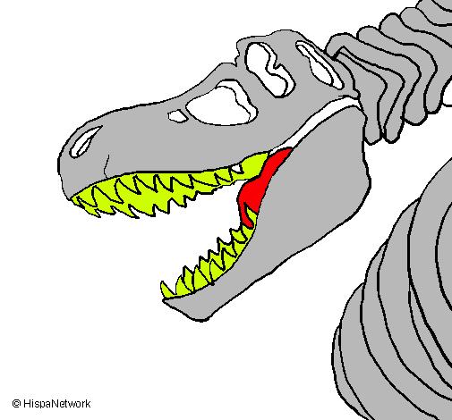 Esqueleto tiranosaurio rex