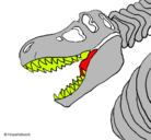 Dibujo Esqueleto tiranosaurio rex pintado por david
