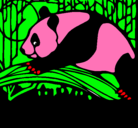 Dibujo Oso panda comiendo pintado por liz