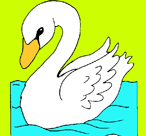 Cisne