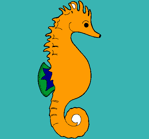 Caballito de mar