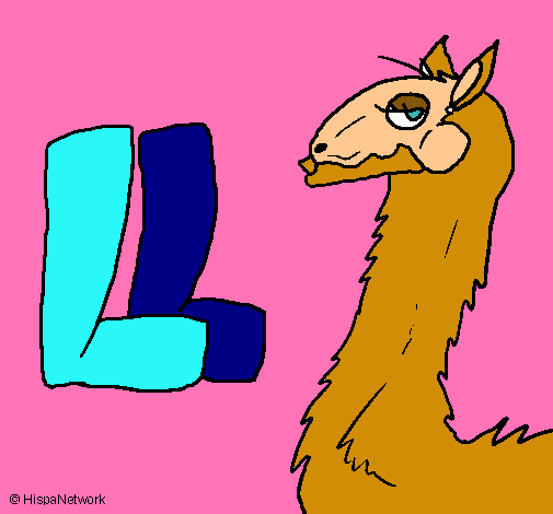 Llama