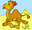Dibujo Camello pintado por tutkituki