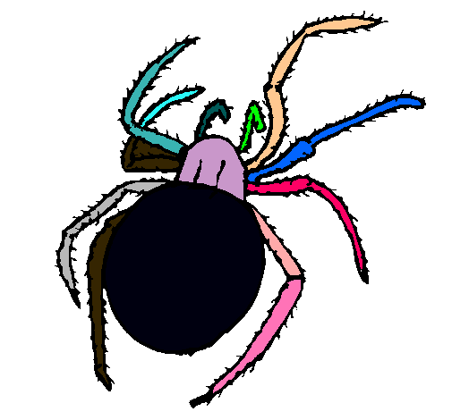 Araña venenosa