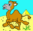Dibujo Camello pintado por joseroberto
